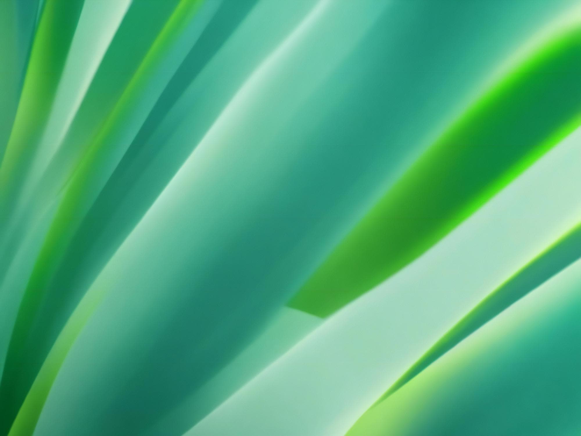 Leave Policy Explanation